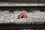 77-year-old-woman-hit-train-bulgaria-07-768x512.jpg