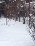 img-2082-15432346558401.jpg