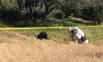 localizan-a-mujer-ejecutada-en-una-carretera-1e86078f645e965aafb8160c726b7faa.jpg