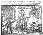 66-C6189-B-9-CE1-4-CD1-B5-EF-186-D720-A8-F80.jpg