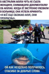 1732901757003.png