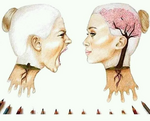 1739612920692.png
