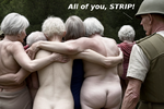 Pit_All_Strip.png