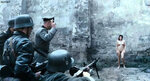 vmioph271.jpg