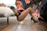 dd86r4n-2db086fd-0e06-4846-b5c4-af2626b780a2.png