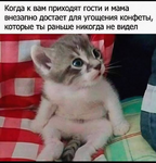 1745939086621.png