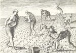 14440070_original.jpg