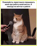 10023588_300.jpg