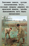 1746083006625.png