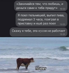 1748358291757.png