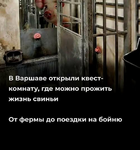 1749543171518.png