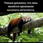 1750969933732.png