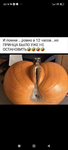 1752094994072.png