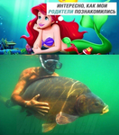 1752167029927.png