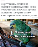 1753301730925.png