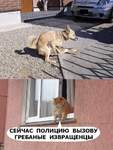 1754579984071.png