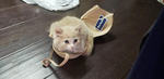 1756911013198.png