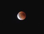 sized_IMG_4017.JPG
