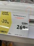 утка маршрутка.jpg