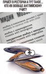 мидии.jpg