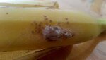 scale_2400.jpeg