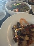 IMG_8382.jpeg