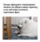 1785568112393.png