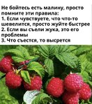 y-d_Meh5WGlBfM-QWeD4olju_h3gRooznpNWqUG_ssncVwP_OQ6fgy9P1OJmAJYbJawGAnPHbyynVj_h_k3UtM8n.jpg