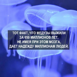 1785780307044.png