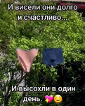 1786197354053.png