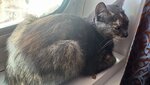 20260426_094728.jpg