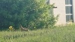 20260526_073612.jpg