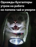 1787603597304.png 1787603597304.png