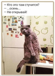 1788189868215.png 1788189868215.png
