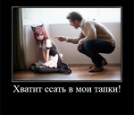 1788563984929.png