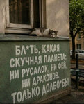 1788883833.jpg