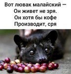 1790410789830.png