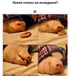 1790410966534.png