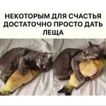 6Nx3u13LKAifyx6guncmhtNscQMf5997OT1qxl1VbIPD4t1mThAsumOp9dCXY0qBWsKBygRAc4LhBHY-bifEZSmB.jpg