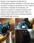 lSrRaGUofq5an7NhYsFdjVq1nVHlX90YAsc5sDM9ANyXqz9Jrn7N0lEzKtIgC6zEkAyT3AqsnNxlq06PlK8PxzuN.jpg