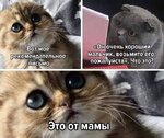 Ag25tsGati4S4KHSLOJEdjnKKgytKg5pl2jJMMNp3CtlKu5tGcgsOnz_hcNnnsUf01i-sCui-RyvtQC4SviU0aQH.jpg