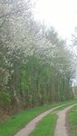 20260419_105106.jpg