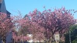 20260421_091949.jpg