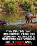 1793398110461.png