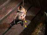 Кадр hung_arrow (00-00-48).jpg