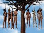 ART1_03.jpg