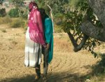 couple-sucide_1509174541.jpg