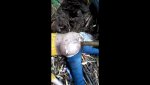Brutalized Woman Found Impaled with A Bamboo Stick theYNC-0-00-30-186.jpg