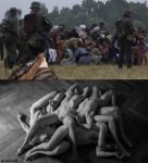 nvaswe246.JPG