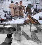 nvbdet579.JPG